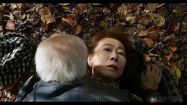 公园小树中老年交易图片：背后的故事与深层意义探讨