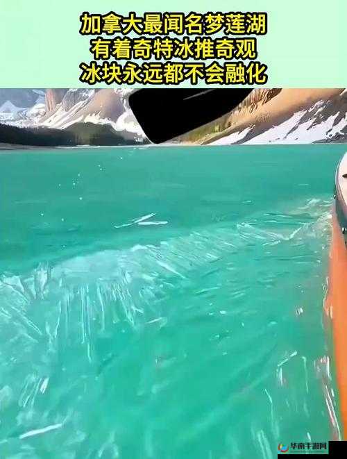 冰块一颗一颗缓缓往下体塞肚子的奇特行为探秘