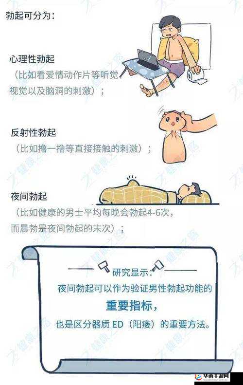 成人 18 禁啪啪免费网站:畅享激情无限之旅