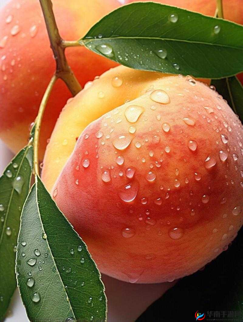 美丽的水蜜桃 2 之独特魅力展现