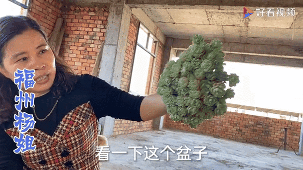 大肉大捧一进一出视频精彩呈现啦