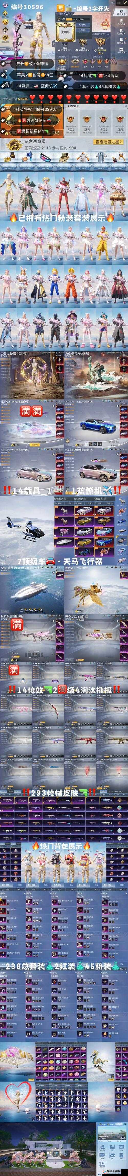 塞尼斯特启航节，战马兑换的明智之选？