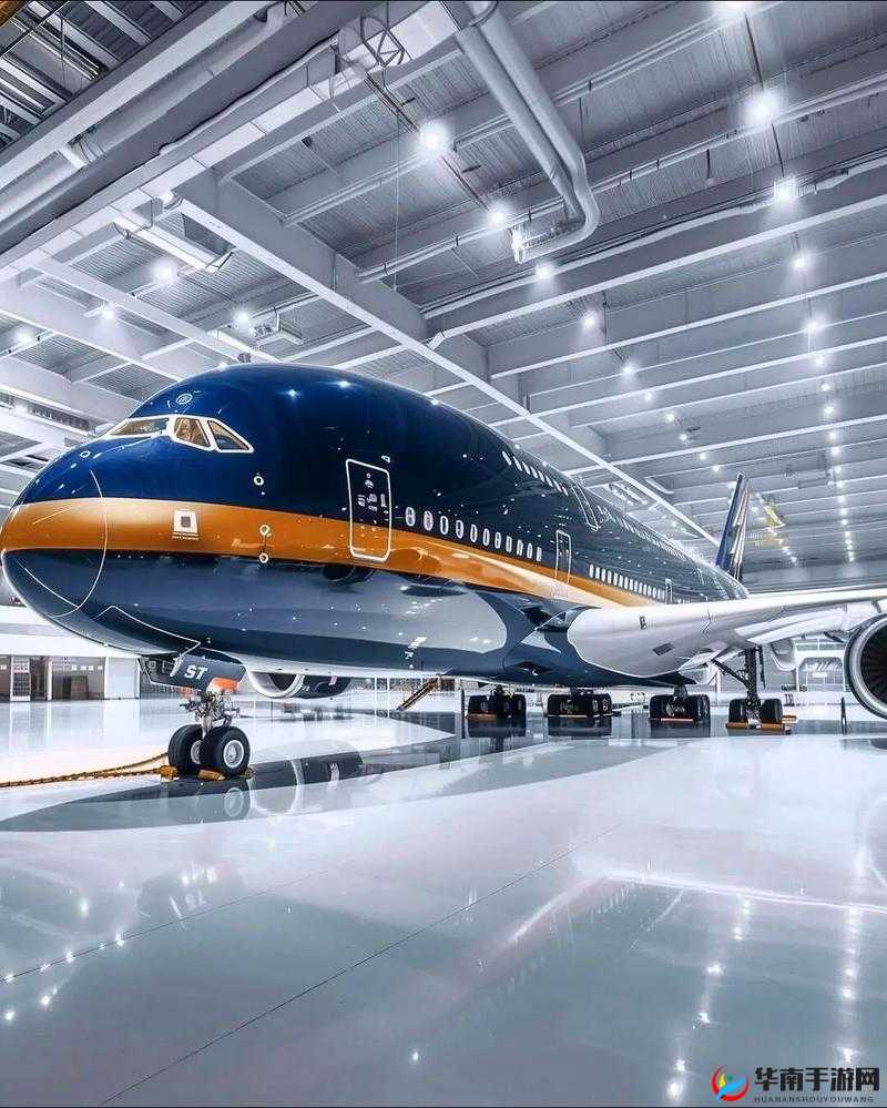 私人航空 2018 满天星美版：极致奢华的空中之旅