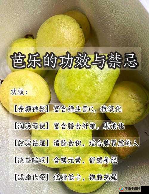 芭乐丝瓜黄瓜绿榴莲最新版：独特食材的奇妙融合
