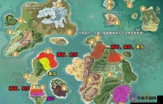 蛋糕坊争夺战，揭秘创造与魔法中的卡点王者位置