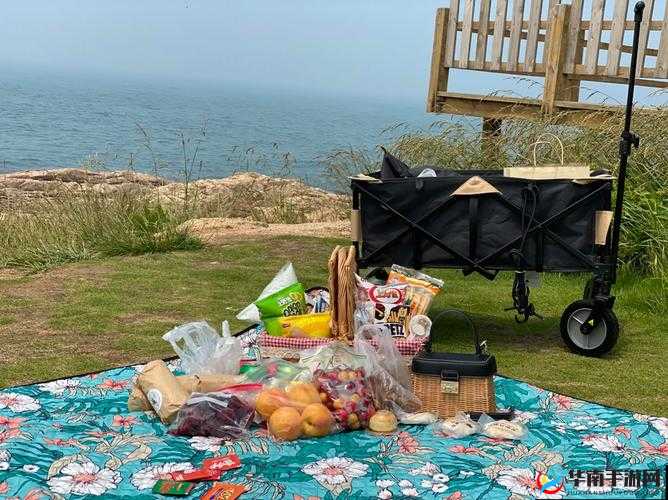 中国式班主任第31关野餐攻略与线索汇总，资源管理的艺术