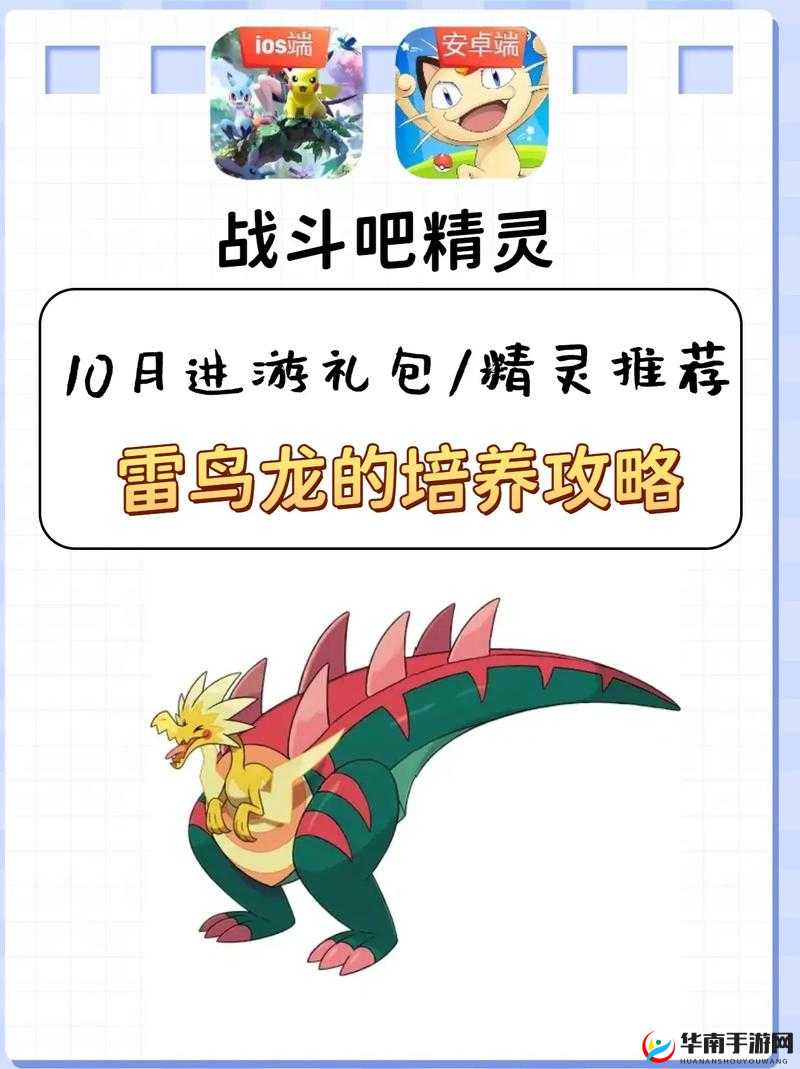 宝可梦剑盾雷鸟龙，获取与培养全攻略