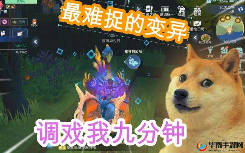 我的起源，揭秘变异宠物稳定获得与高效刷取技巧