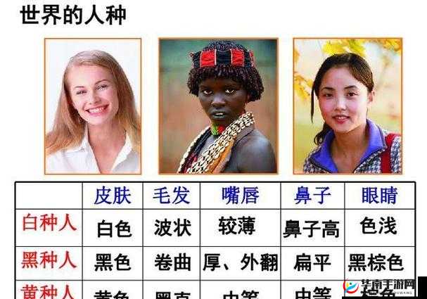 日本人与欧洲人的相貌特征差异:从五官到肤色的全面剖析