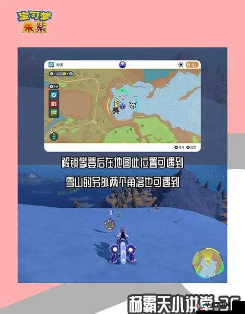 宝可梦剑盾好感度速刷技巧大揭秘