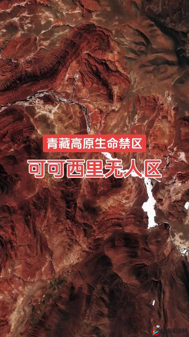 51 无人区码一码二码三码：探索未知的神秘领域