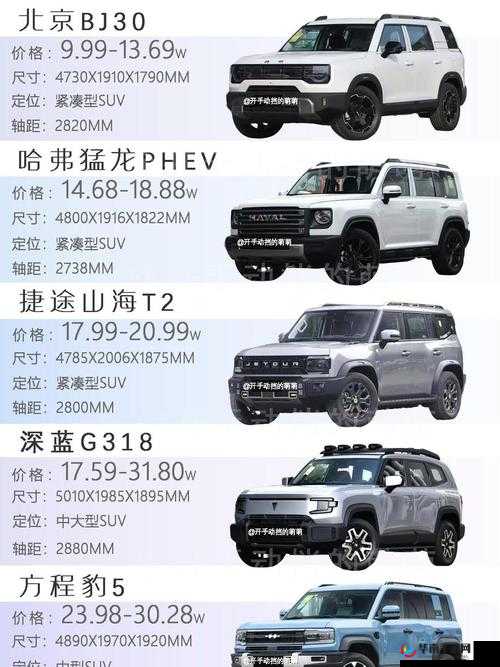 国产 SUV 精品 201:打造你的专属驾驶乐趣