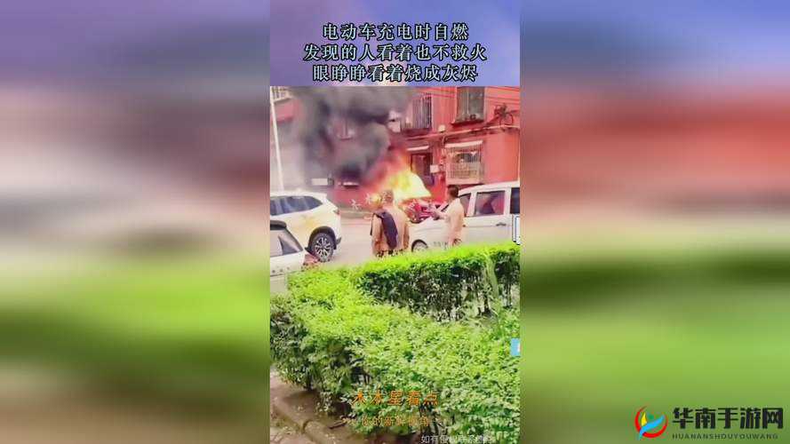 911 爆料网八卦有理回家的路：探索背后的故事与意义