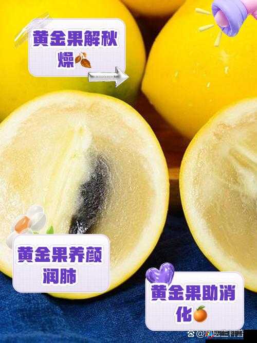 揭秘我的起源黄金果实获取秘籍