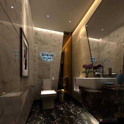 国产精品厕所：打造高品质如厕体验的优质选择