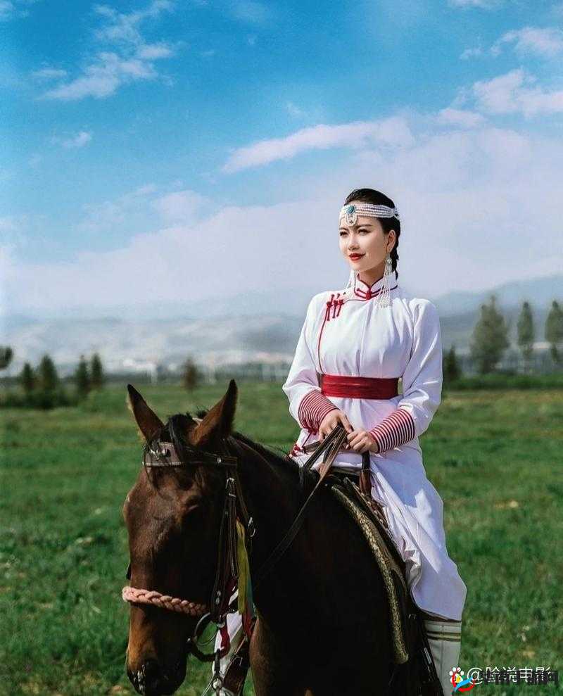女骑手与她的爱马:在草原上的飞驰人生