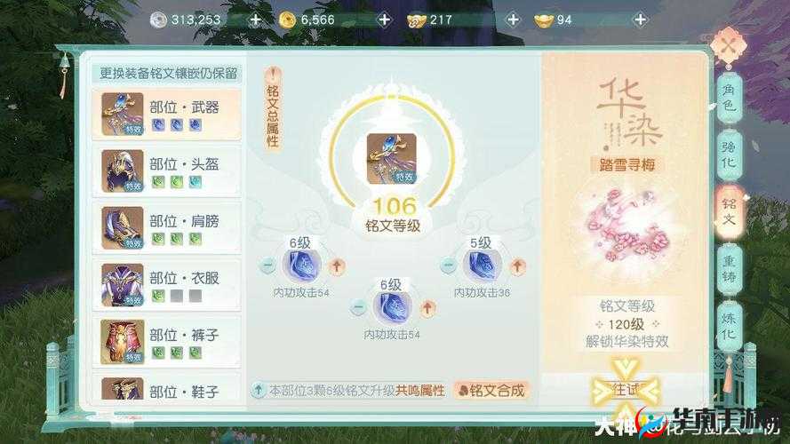 花与剑蝶花PVE技能搭配秘籍，轻松制霸副本