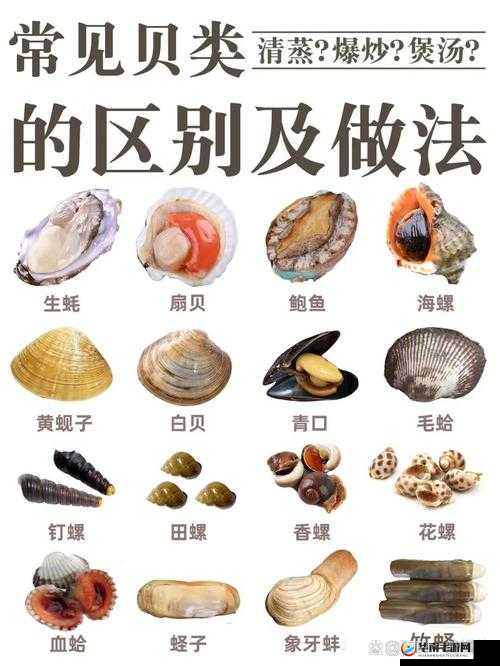 我的起源贝壳获得途径有哪些