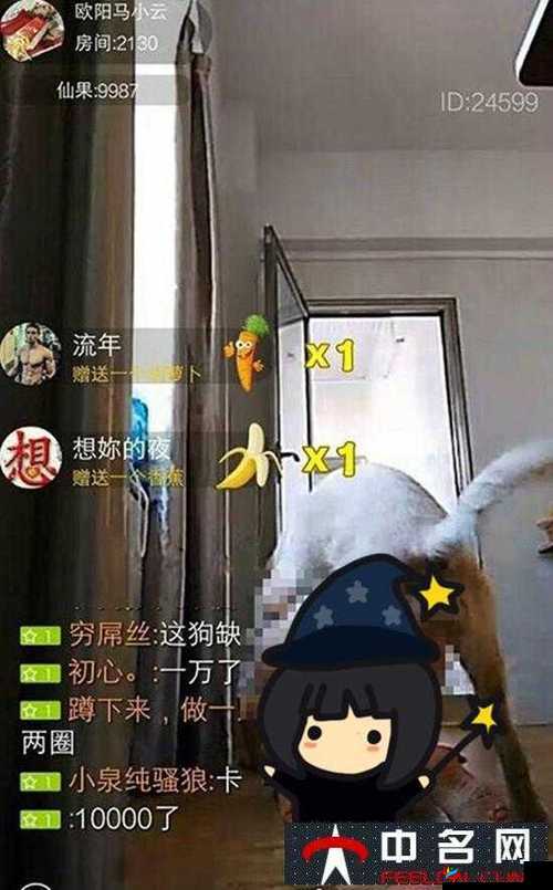 爱爱直播：精彩不断的实时互动娱乐平台