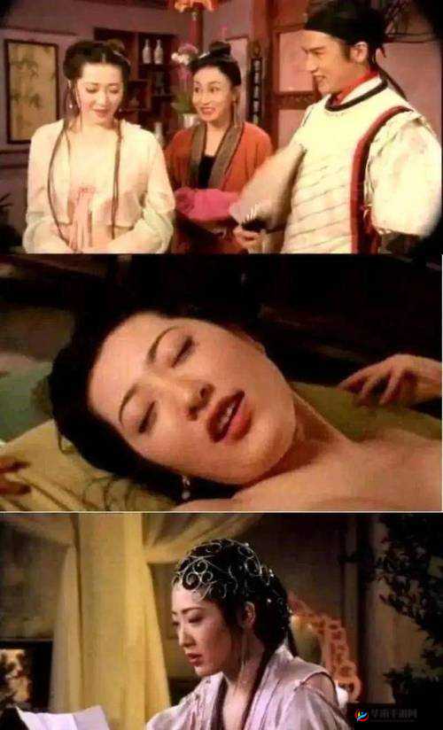 新版金银瓶 151996 杨敏的传奇人生故事