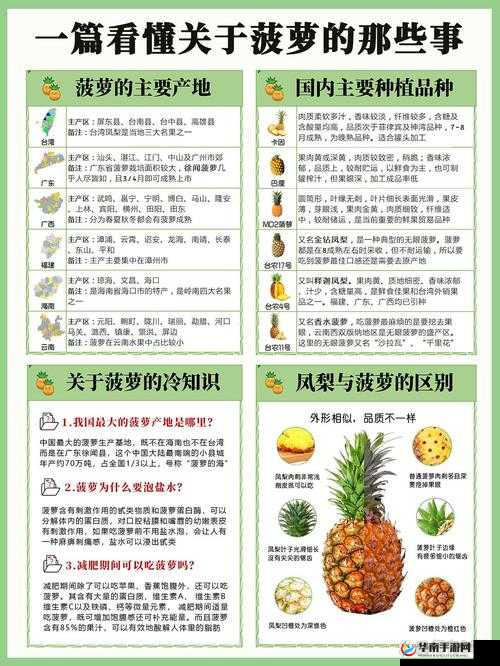 大菠萝官方官网隐藏相关内容及延伸探讨