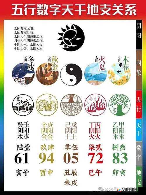 揭秘花与剑望舒的神秘幸运数字