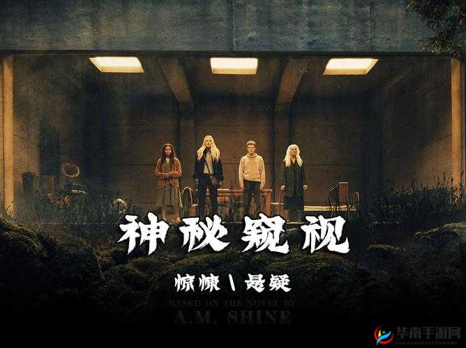 神秘电影官网入口：带你领略精彩的影视世界