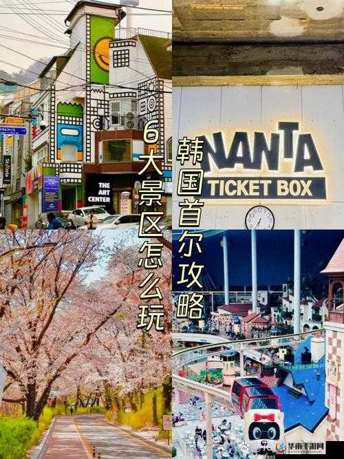 韩国大片的震撼视听之旅：感受其独特魅力与精彩演绎