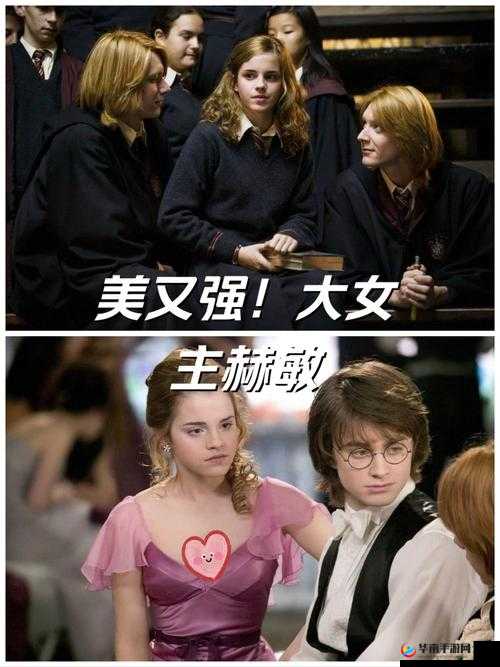 赫敏，魔法世界的璀璨明星与阵容搭配策略