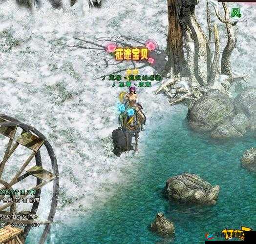 绿色征途，探索自然与冒险的奇妙之旅