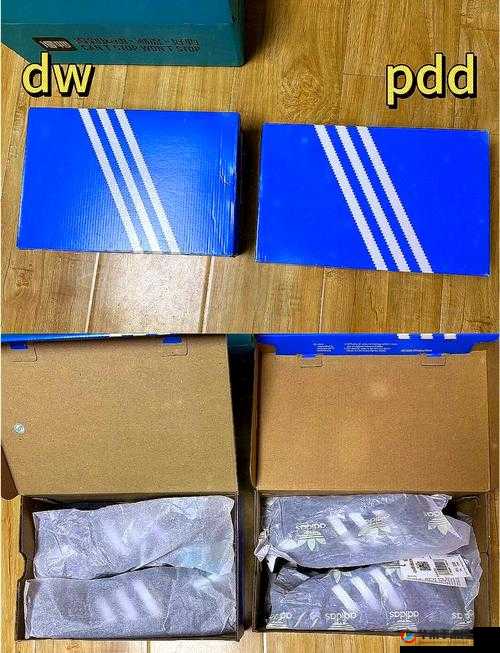 DW 亚洲版和欧洲版区别：深入剖析版本间的显著差异