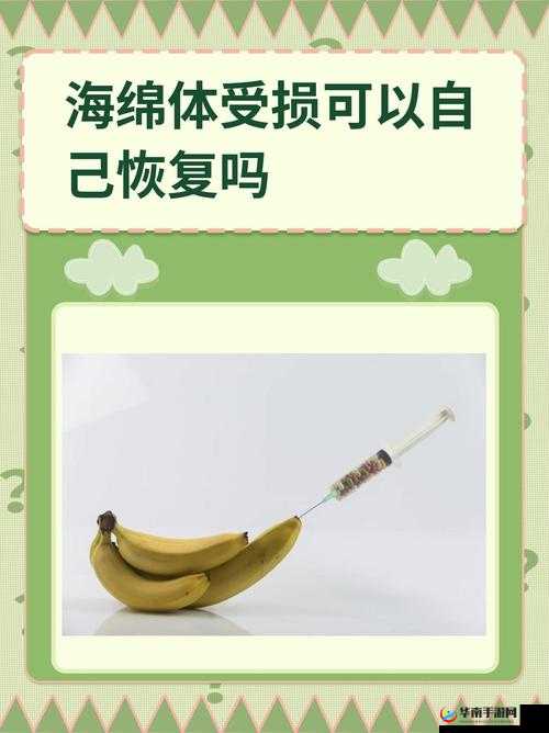 用手过度的海绵体受损怎么恢复：科学修复，重拾健康