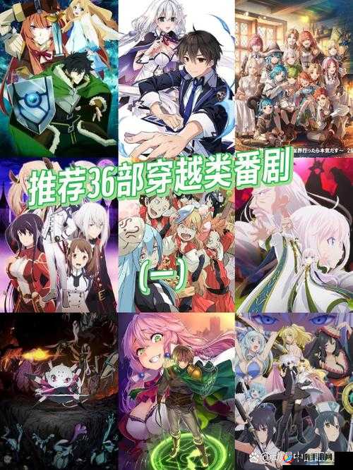 探秘双生视界,情感交织的异世界之旅