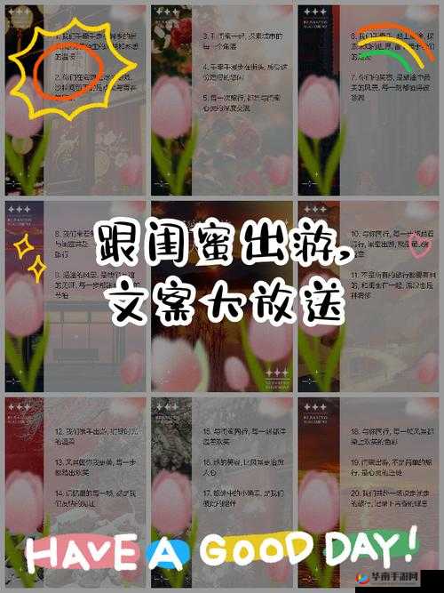 闺蜜交换：一场关于友情深度探索与心灵交融之旅