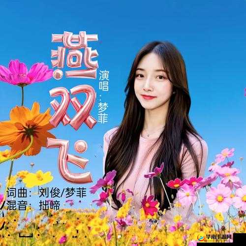 双双飞 MV ：一段触动心灵的浪漫音乐影像之旅