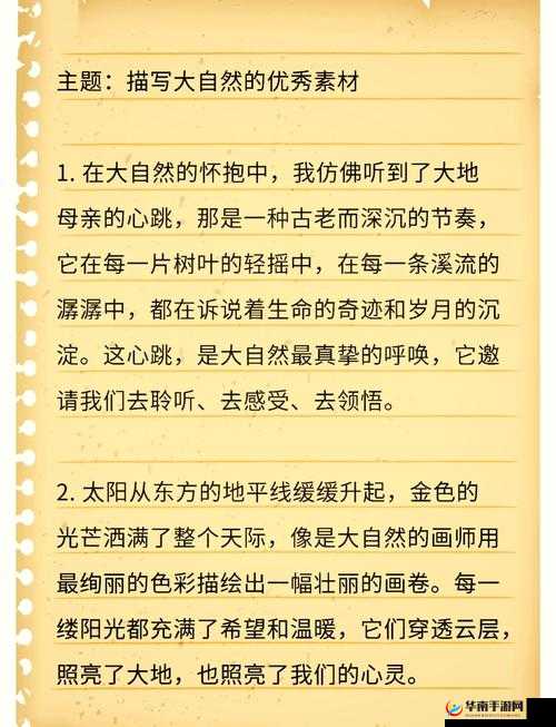 探索自然奥秘，关键词的深度解读与生态之旅