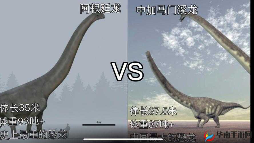 我的起源马门溪龙怎么捕捉，资源管理、技巧、避免浪费与最大化价值