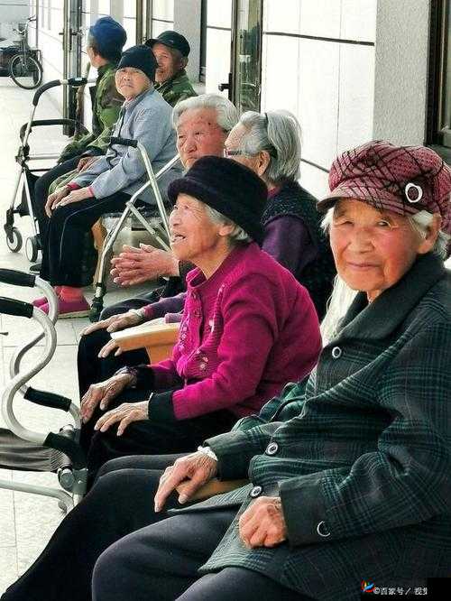 老王头幸福晚年的多彩生活与温馨时光