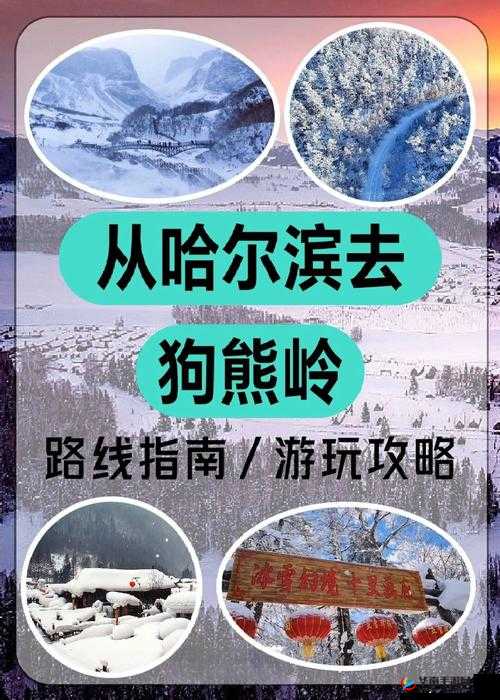 东北大坑乱 1—50:揭秘神秘的东北乡村传奇故事