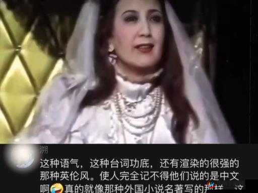 欧美浓毛老妓的别样风情与传奇故事