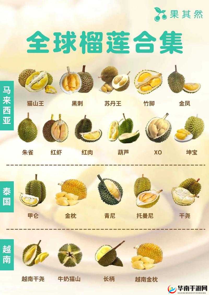 8008 幸福宝入口榴莲分类专区：超丰富资源，满足你的所有需求