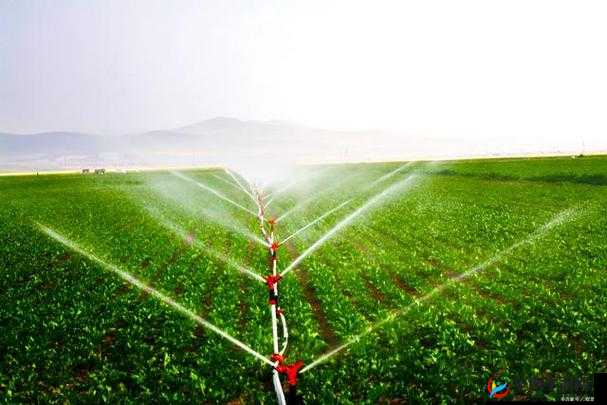 自动灌溉系统 BY 应照离：引领现代农业高效灌溉的创新之作
