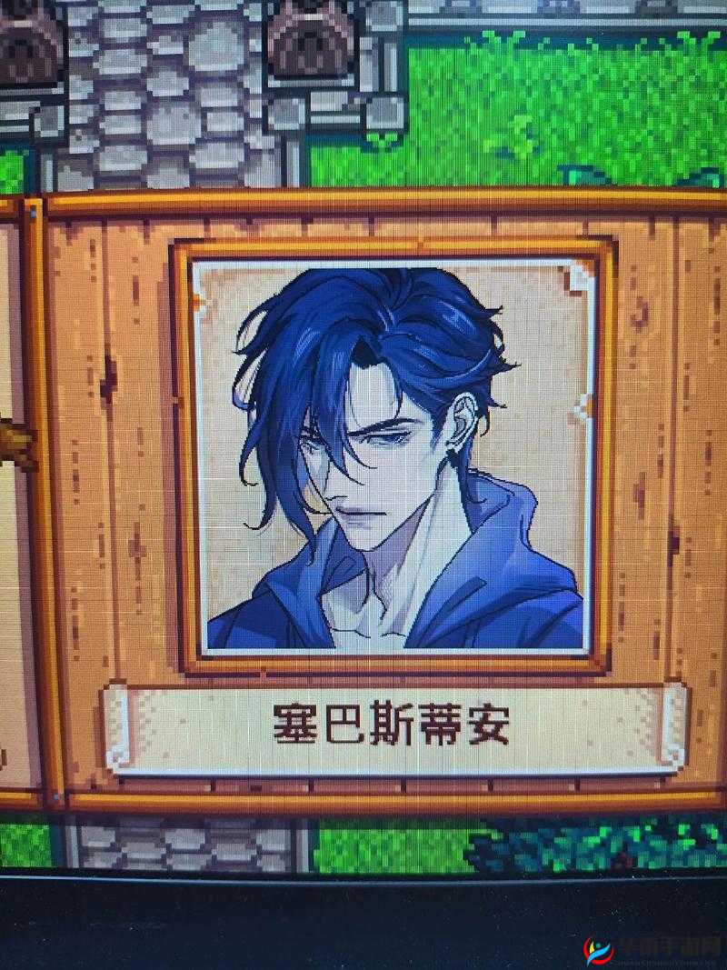 星露谷物语塞巴斯蒂安性格如何？NPC背景故事解析