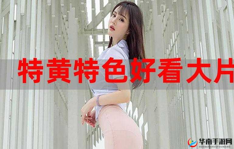 特黄极一清二楚随便看——畅享极致私密视觉盛宴