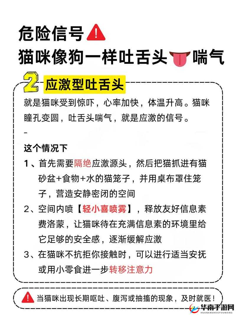 一边伸舌头一边快速喘气音：揭示身体异常信号