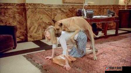 欧美性爱人与动物相关话题探讨及分析