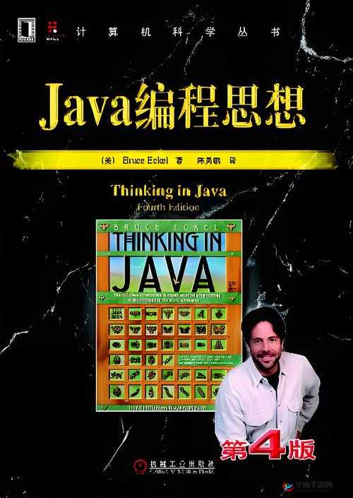 精品 JAVAPARSER 乱偷：探索其独特魅力与奥秘