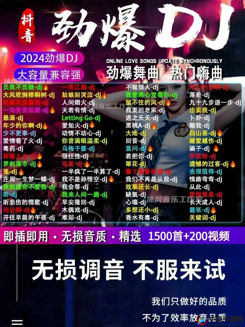 国产 chinois 男男 dj 音乐：打造独特音乐风格，点燃你的派对激情