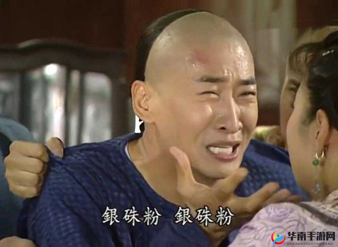 尔康吃金锁肉厨房：一场味觉与视觉的奇妙冒险