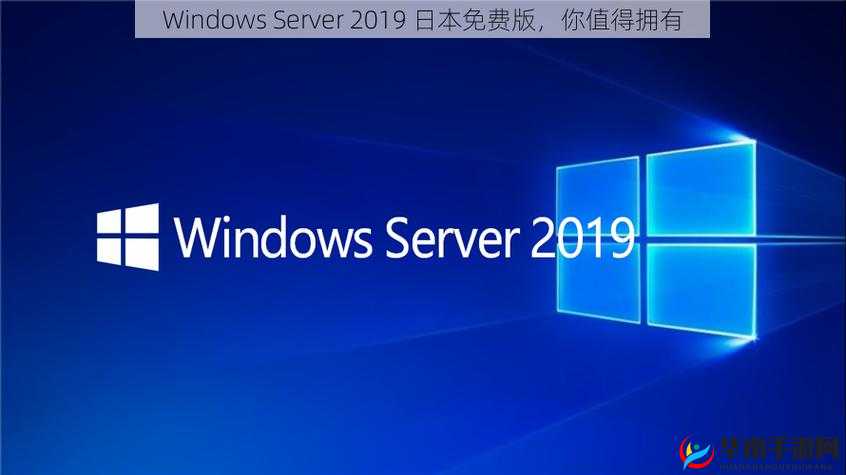 日本 windowsserver 免费版：一款值得关注和探索的服务器系统